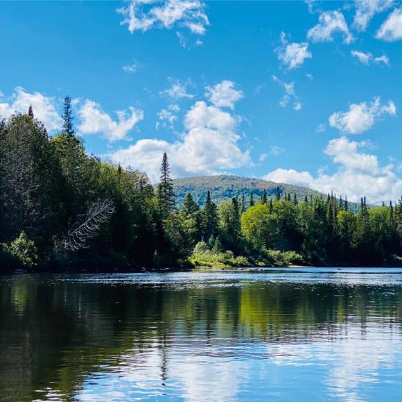 Meet your Posher, Nathalie - Picture 1 of 1